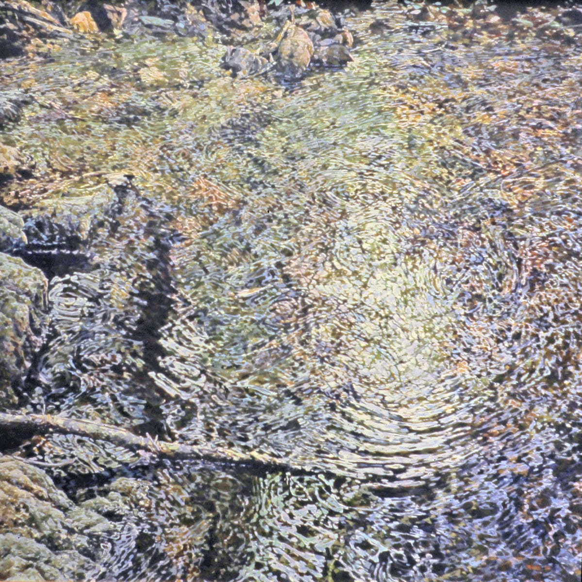 Dark Creek 