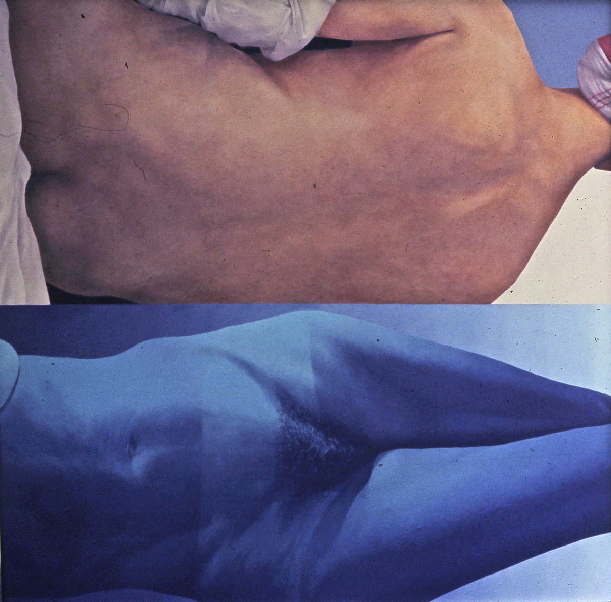 Double Nude? by Bruce Marsh  Image: Cropped view of an Ingres nude and a blue nude.