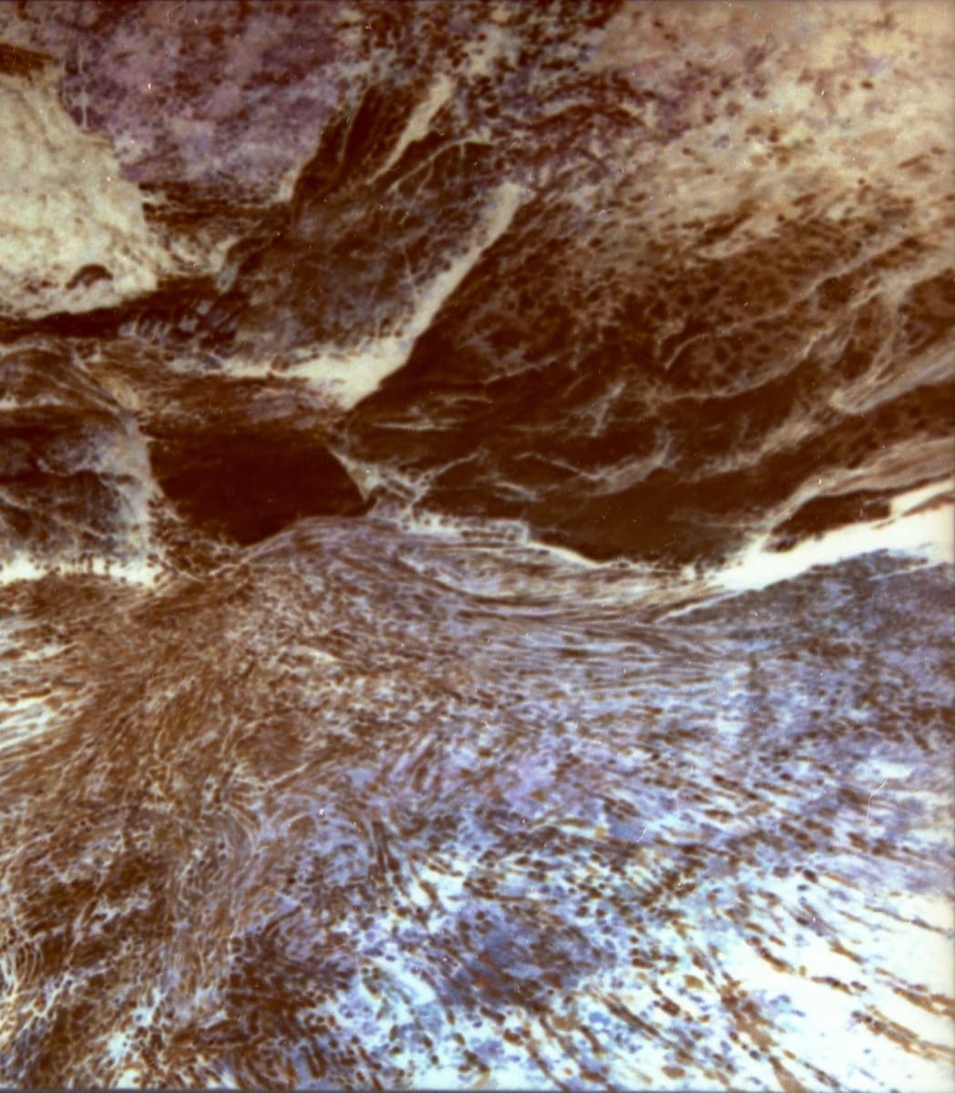 Downstream V  Image: One of several from the Tallulah River, N. Georgia.