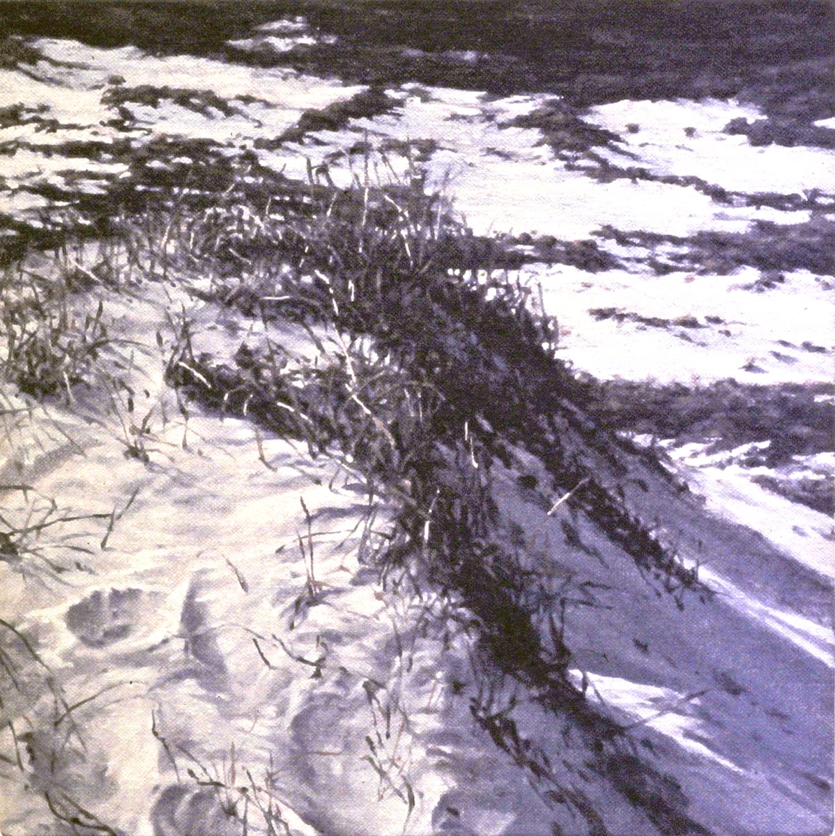 Dunes by Bruce Marsh 