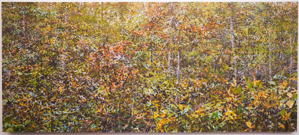 Fall Weeds 