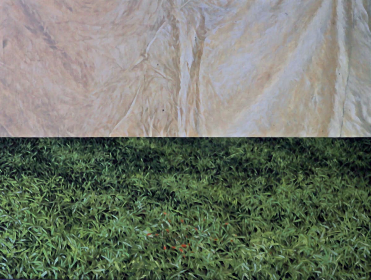 Grass with Cloth? by Bruce Marsh  Image: Minimalist composition.