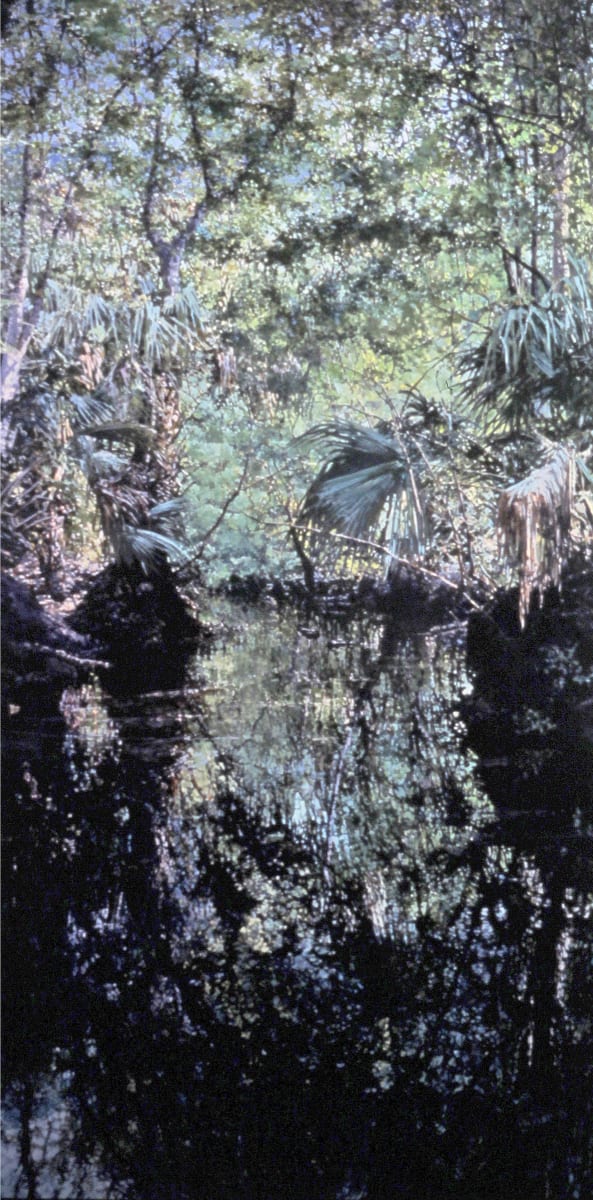 Hillsborough River at Celebration  Image: A commission for Health Care at Celebration, FL.
