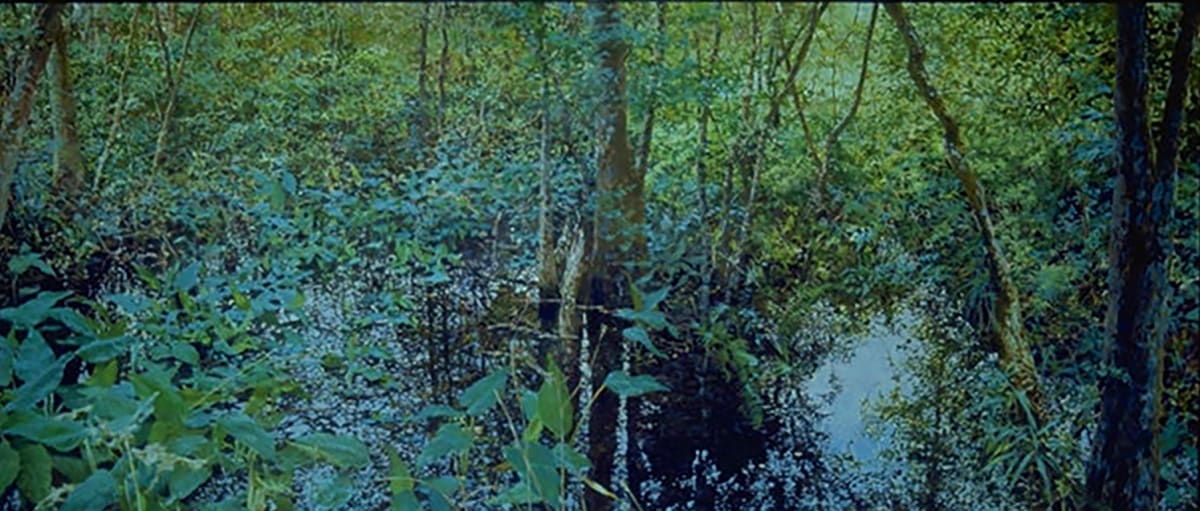 SWAMP by Bruce Marsh 