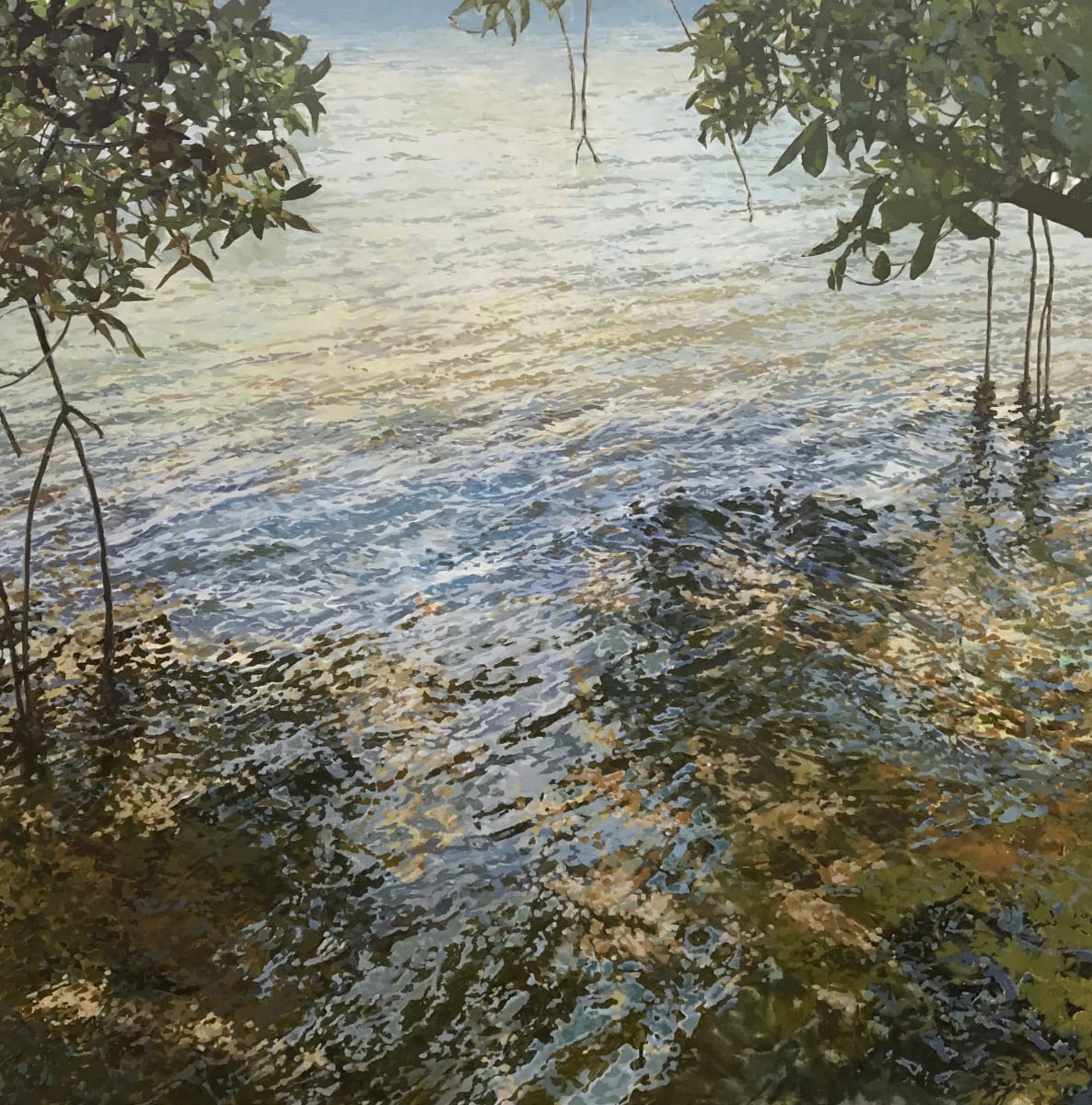 Double Mangroves  Image: Almost on a grid. Let there be order.