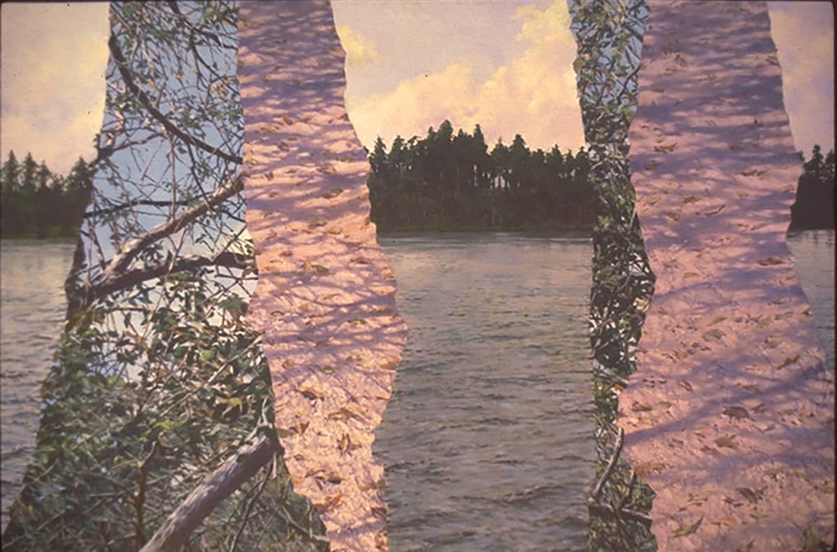 Lake Trees Shadows 