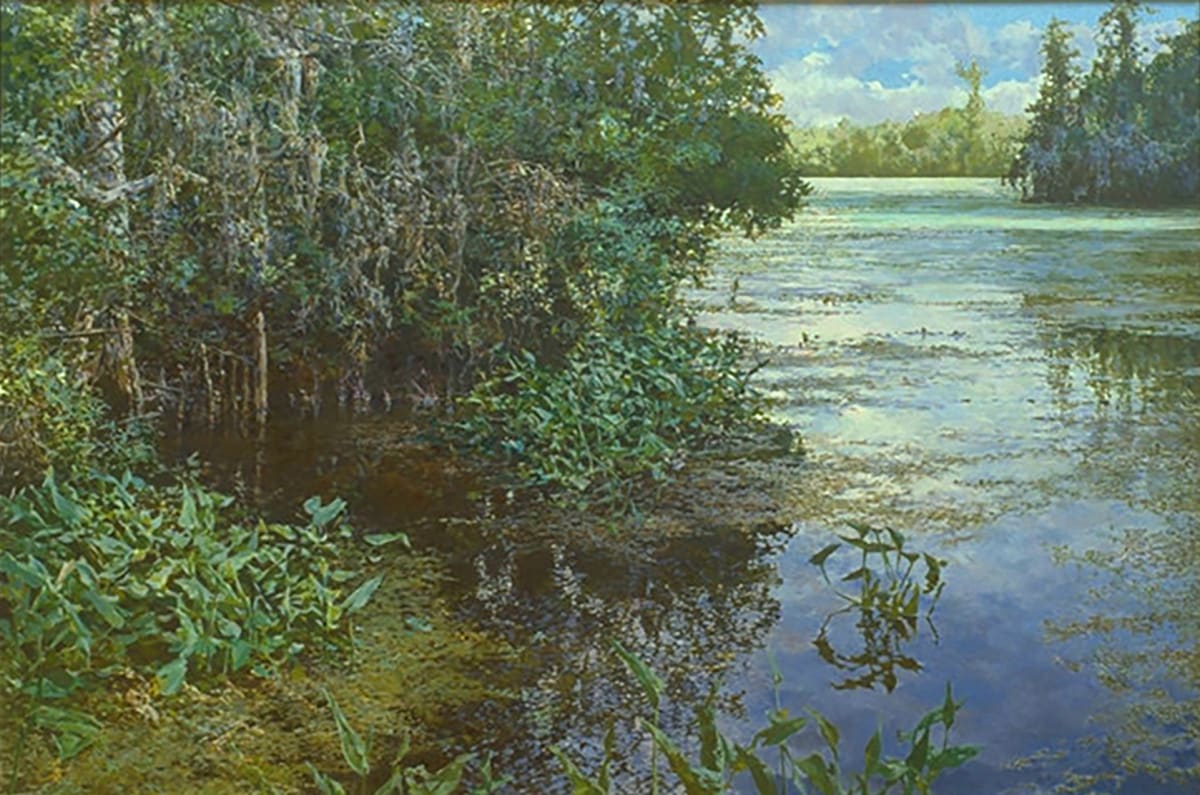 Lettuce Lake 