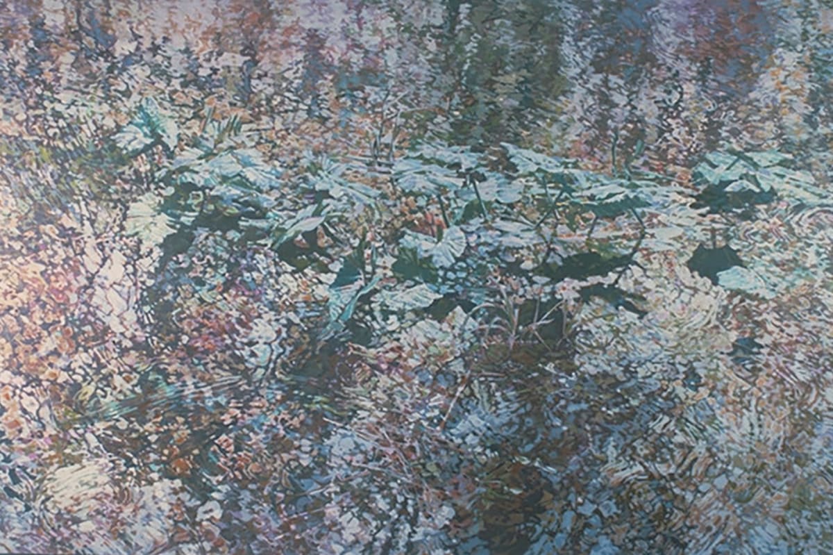 Lily Pads 