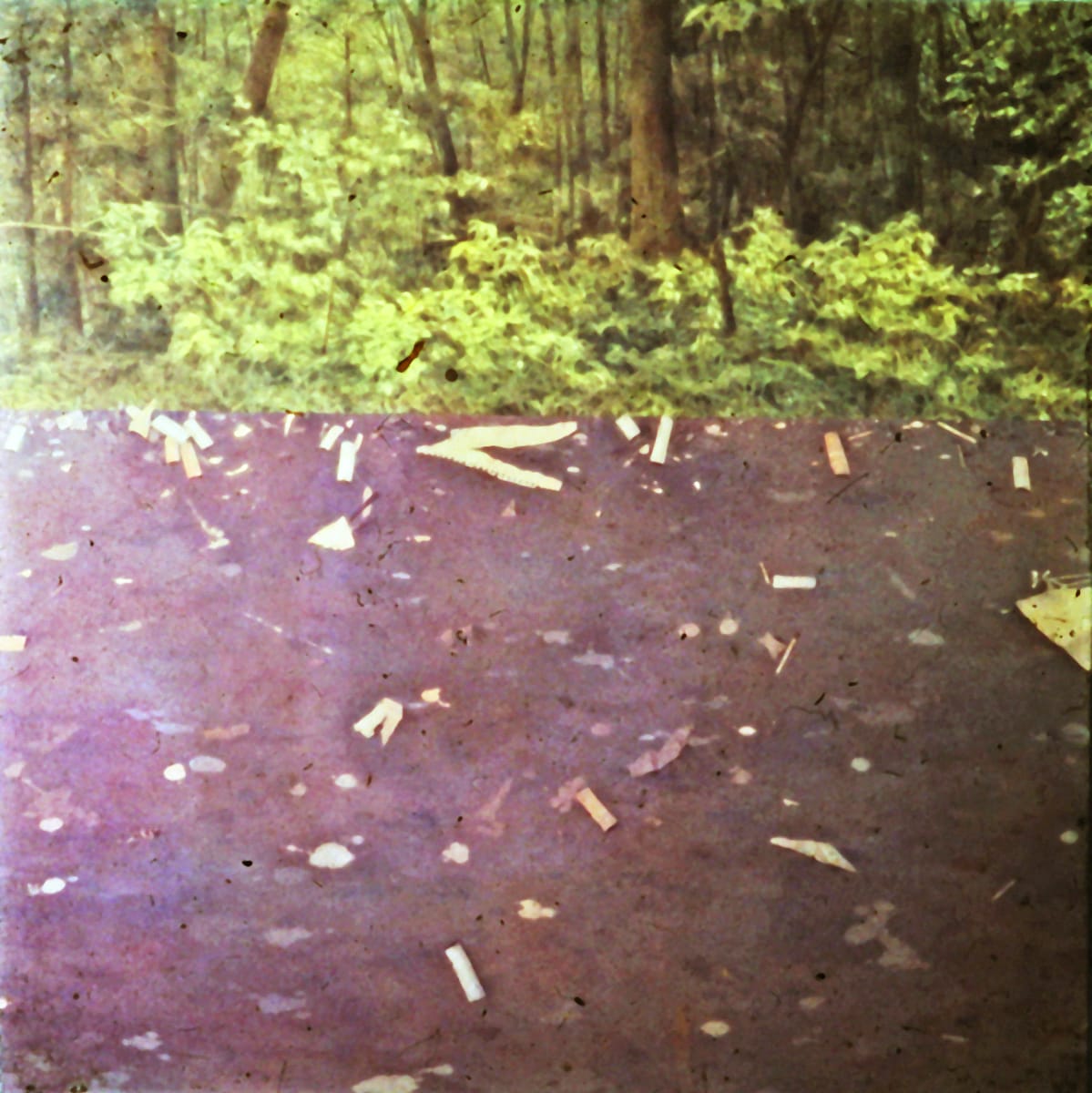Littered Floor Woods  Image: My studio floor, imagined woods. Airbrush.