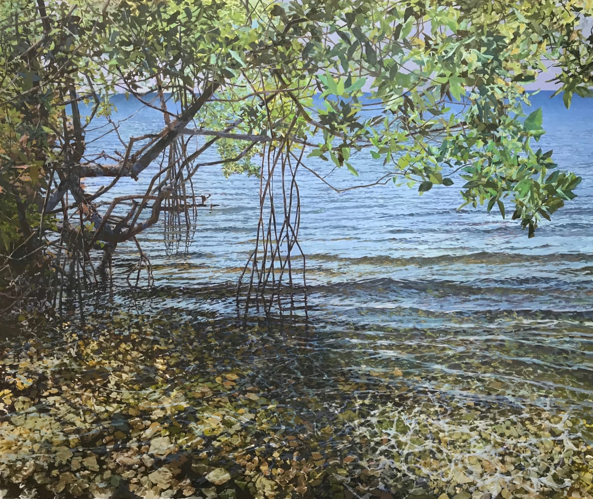 Mangrove Shadow by Bruce Marsh  Image: The edge of Tampa Bay.