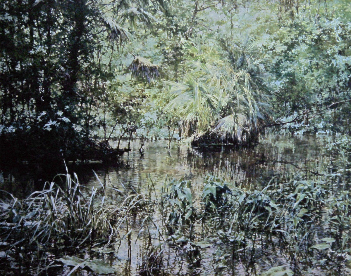 Palm River by Bruce Marsh 