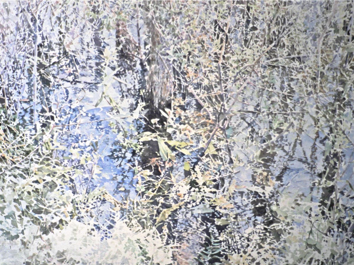 Pond Edge 