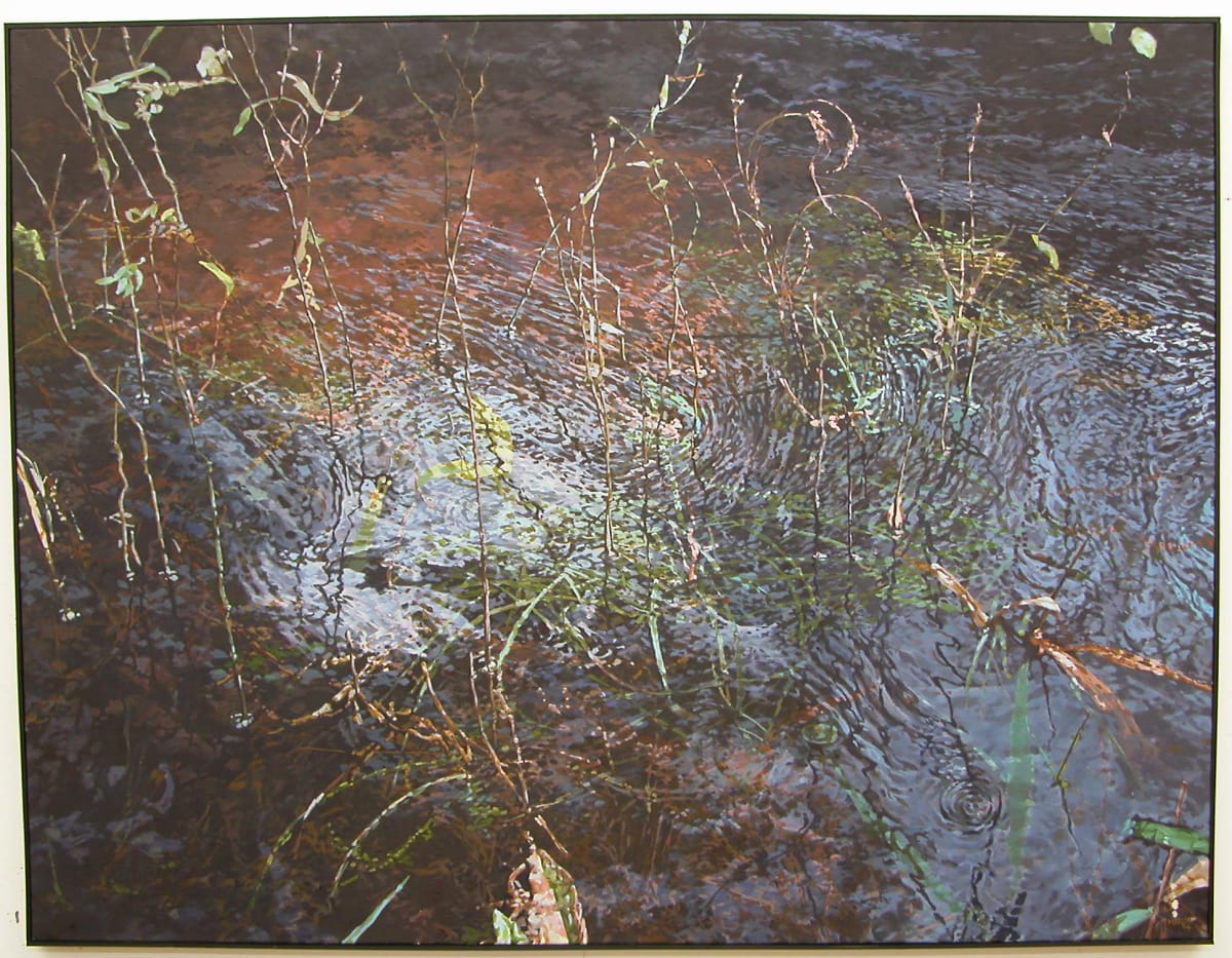 Pond Weeds? by Bruce Marsh  Image: Collection of Holley and Jim Keeffe.