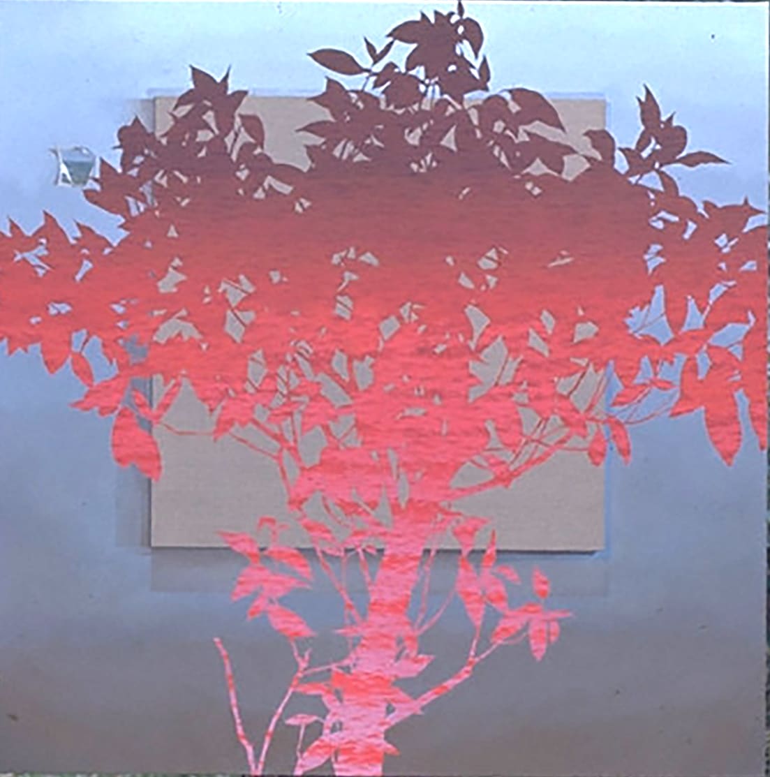 RedSea Tree Canvas by Bruce Marsh  Image: A favorite. Many colliding ideas; bare linen, snaphot on the wall, Saturated color against gray.
Light to dark gradiation on tree.