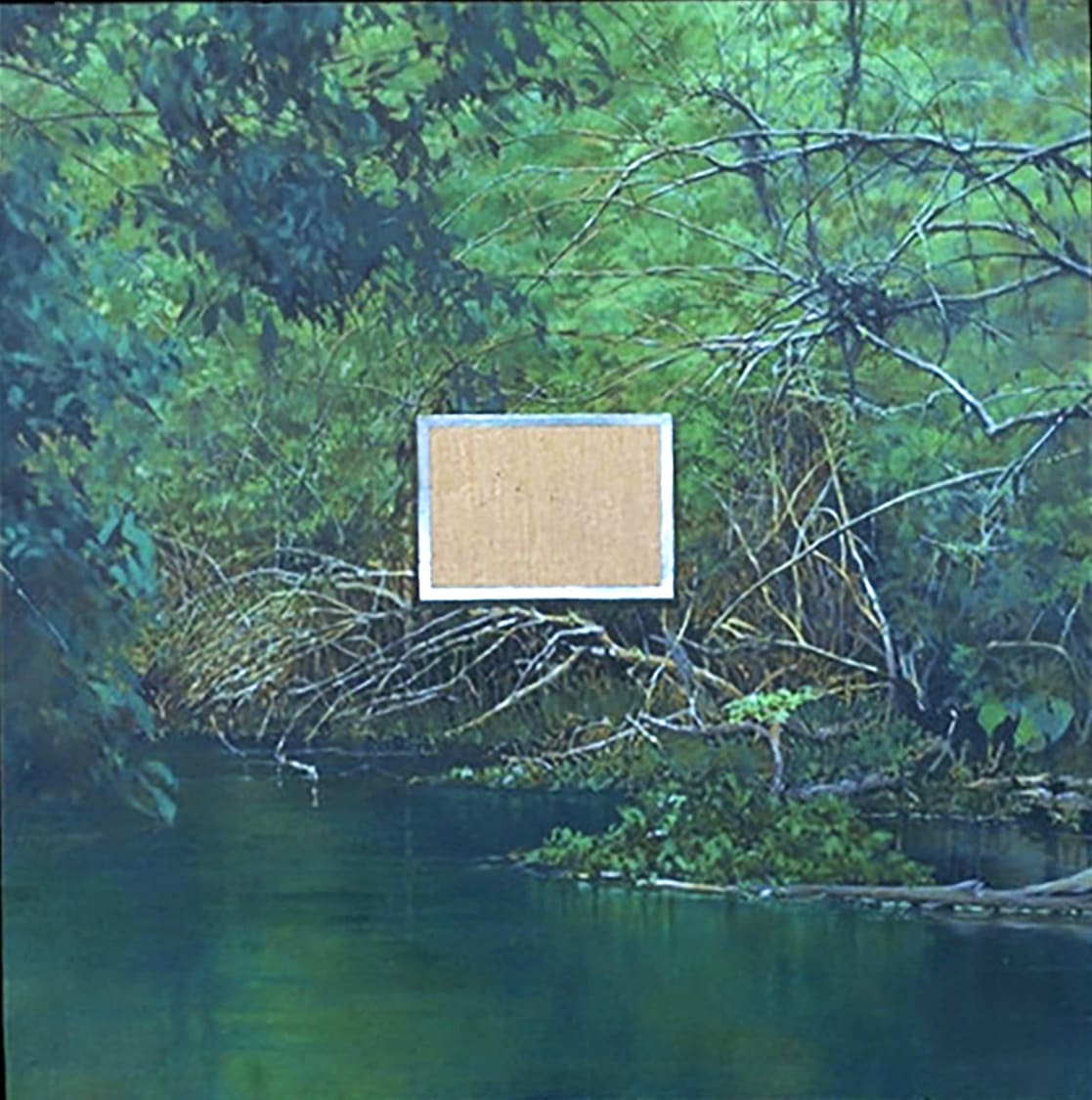 River w Canvas Photo 