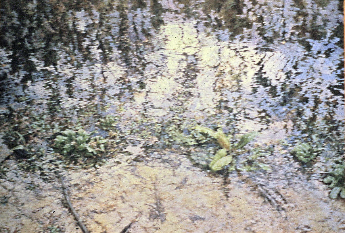 River Edge 