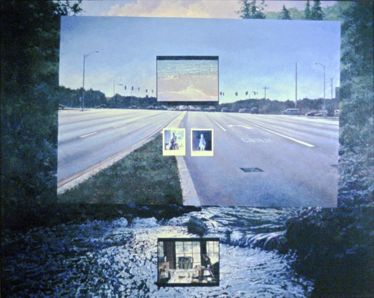 RiverFowlerPhotos by Bruce Marsh  Image: Pseudo collage, all is painted. Not sold.

