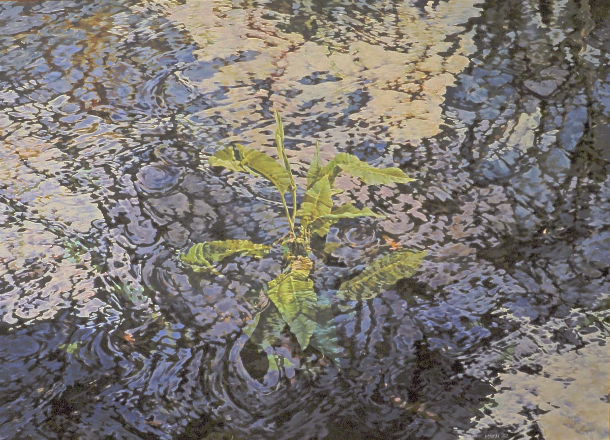 River Plant 