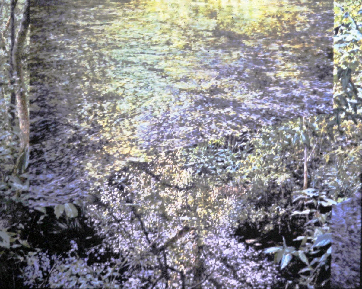River & Woods; Very Bad Photo!! 