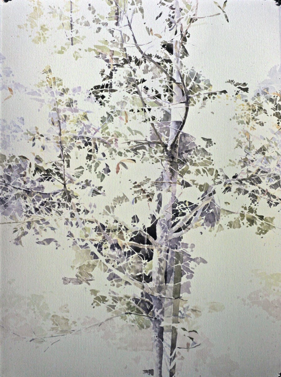 Sapling WC by Bruce Marsh 