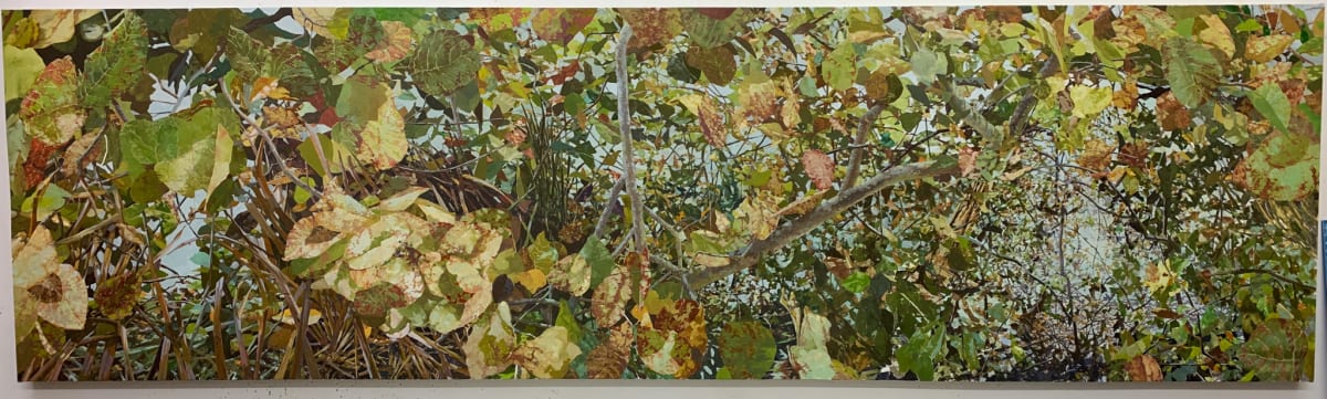 SEA GRAPES V by Bruce Marsh  Image: A private commission, Sarasota.