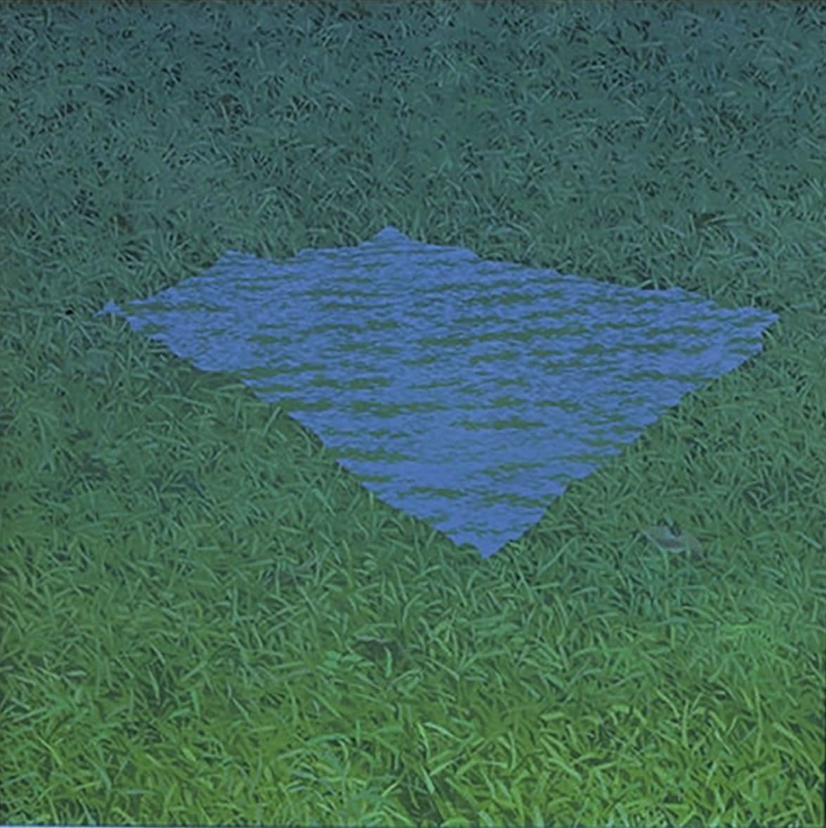 Sea on Grass 