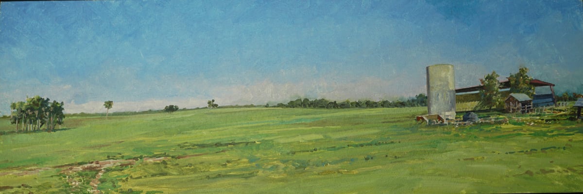 Silo  Image: Florida pastures, painted on site.