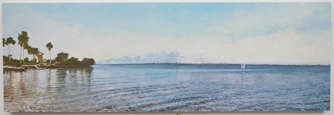 St Petersburg View  Image: A view across the bay.