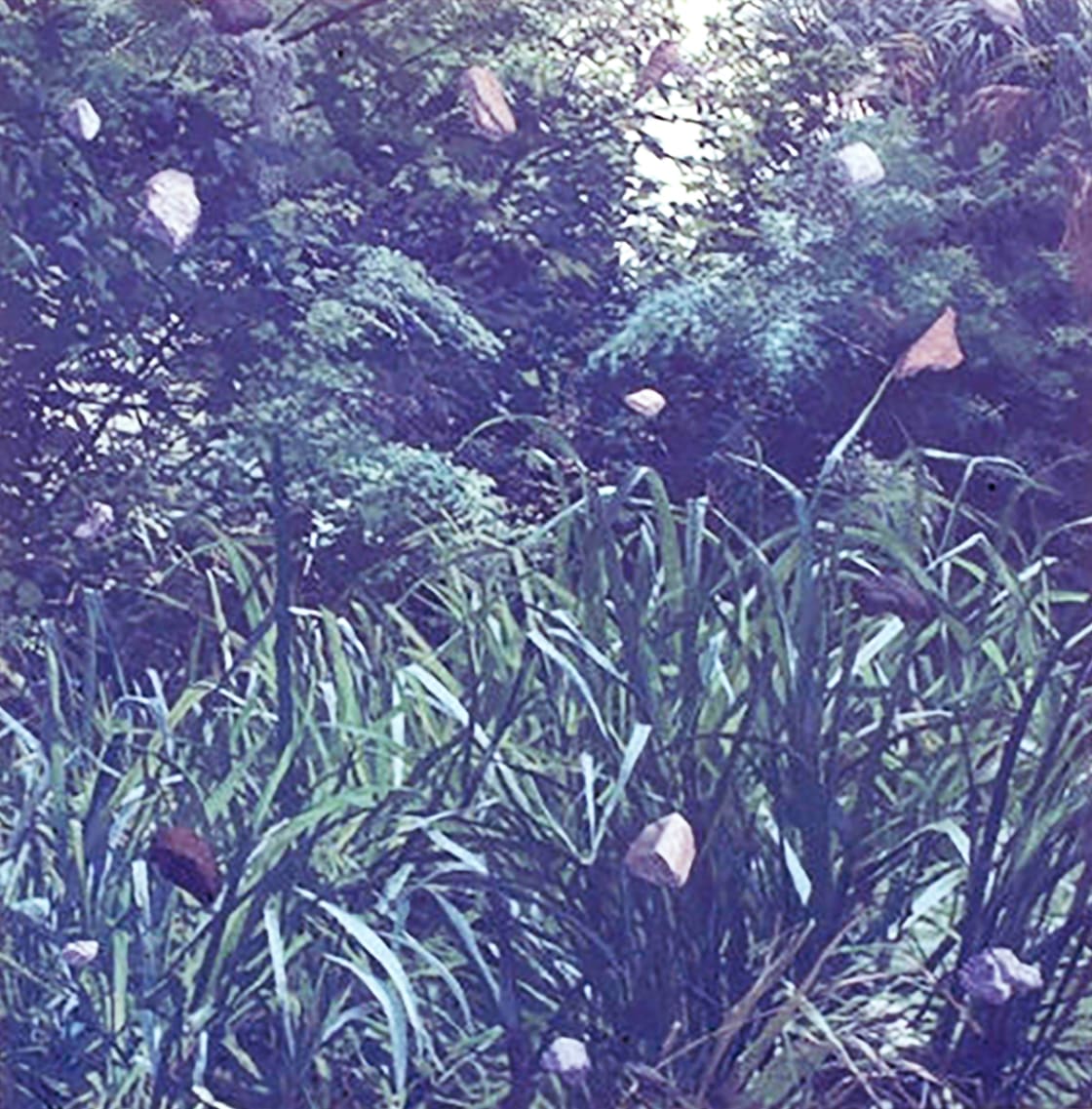 Stone Shower by Bruce Marsh  Image: One of a series; floating stones....in my backyard on Tampania Street, Tampa.