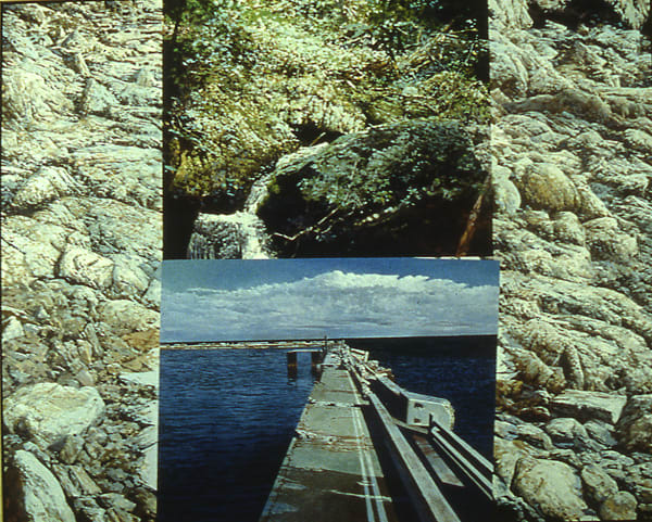 Tidepool Bridge Creek 