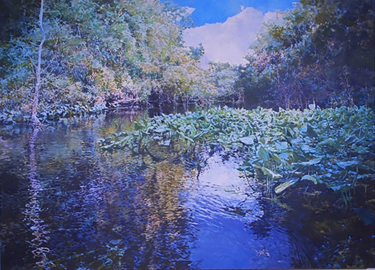 Wekiva (right) by Bruce Marsh 