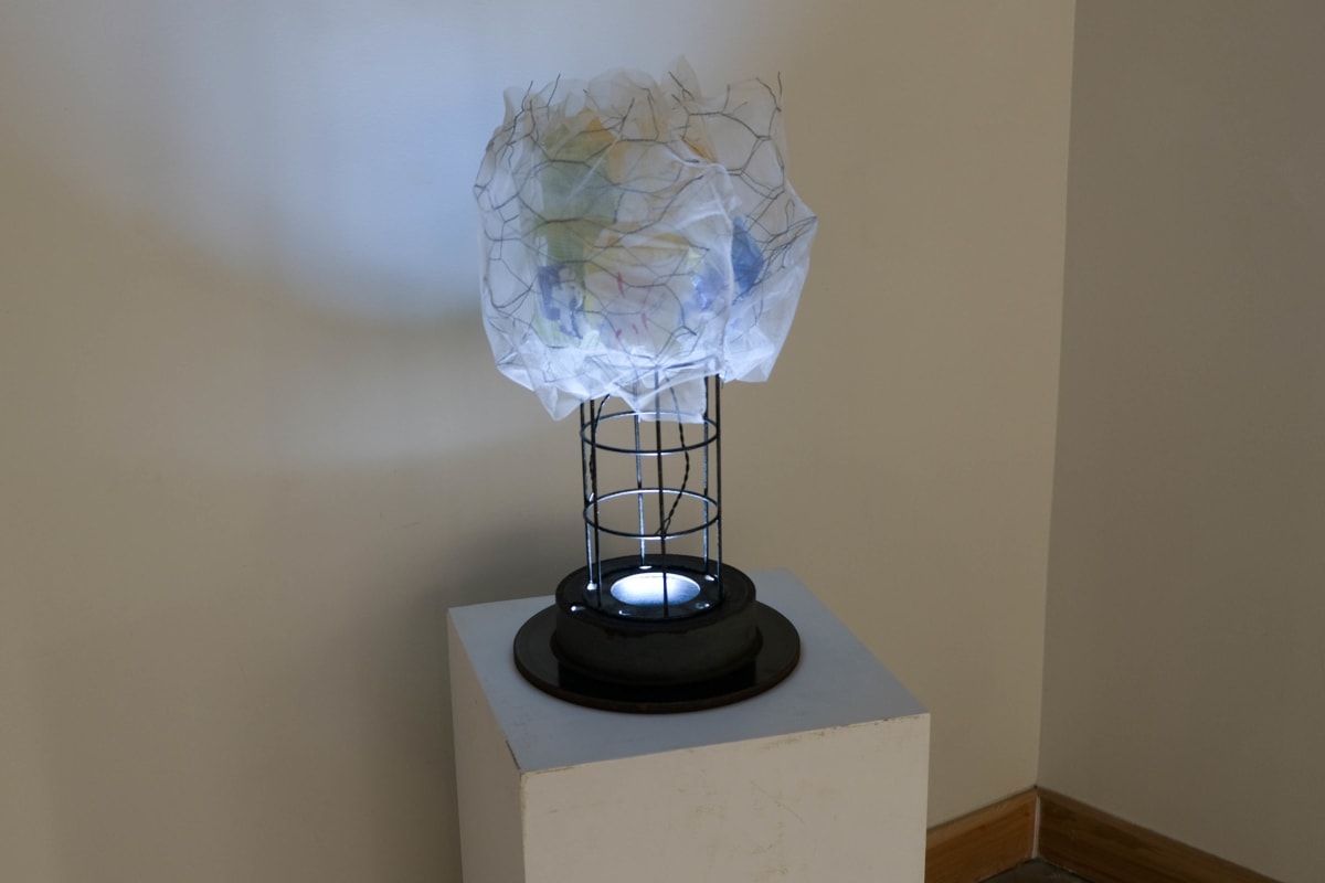 Appearance by Deborah Gruber 