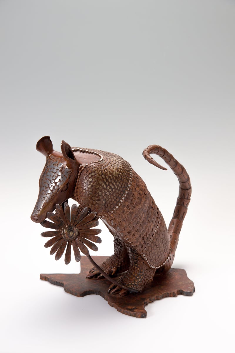 Armadillo by Sarah Stork 