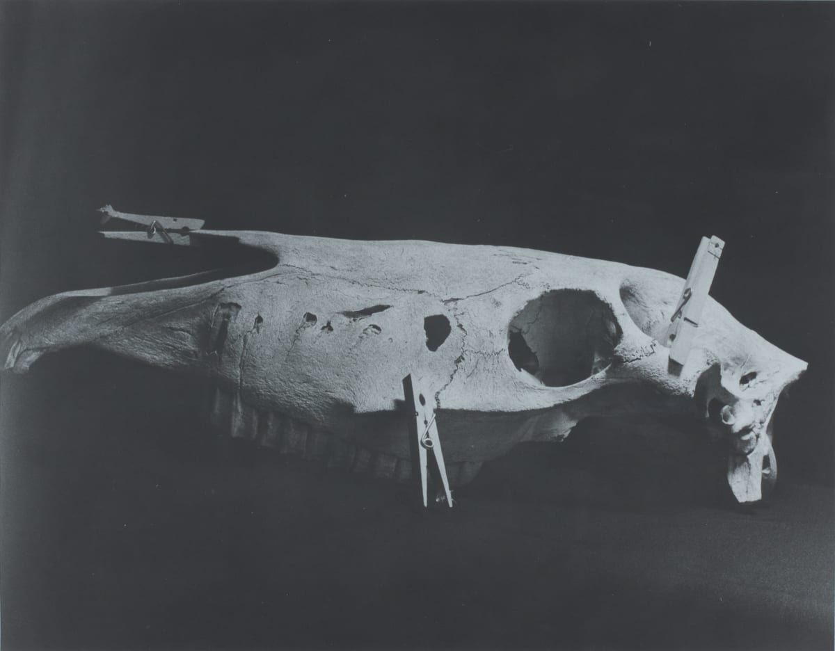 Cling by Isabella Jordan 