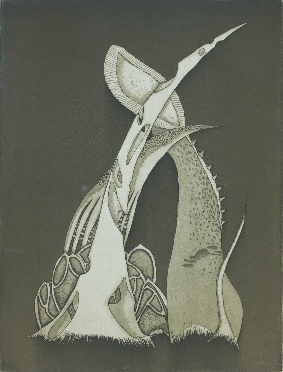 Environ by Esther Sullivan, Image 1.