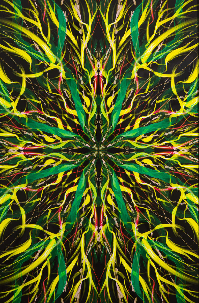 Evanescence by Jasmine Gann 