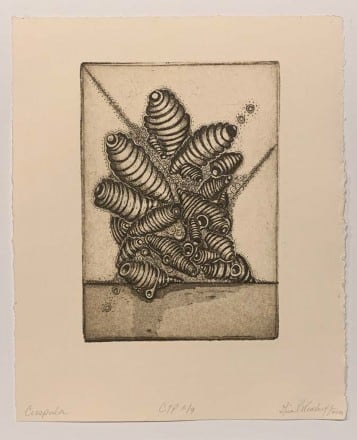 Cuspula by Gina P. Woodruff 