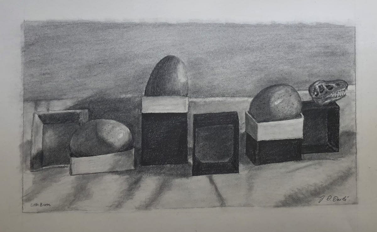 Little Boxes by Joelle L. Lardi 