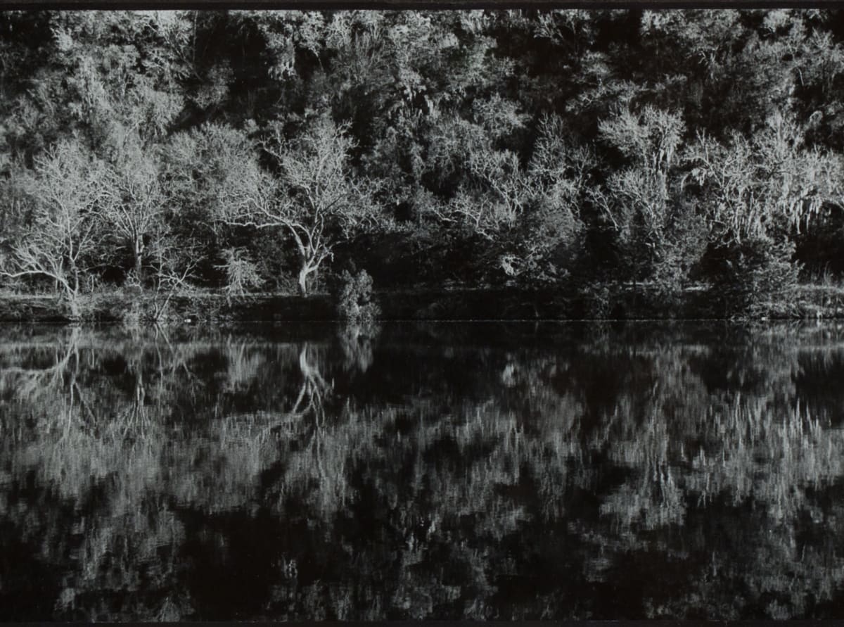 Reflection on Lake Austin by Carolyn Mellon 