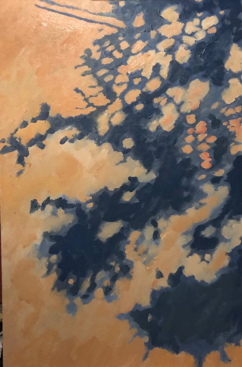 Leaf Shadows by David Thornberry 