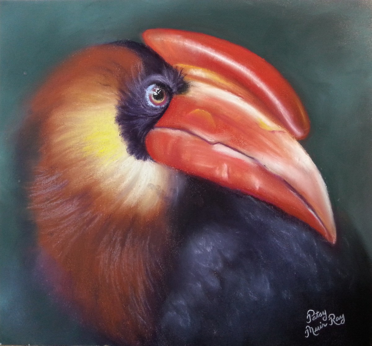 Hornbill Billy by Patsy Ruth Kroeckel 