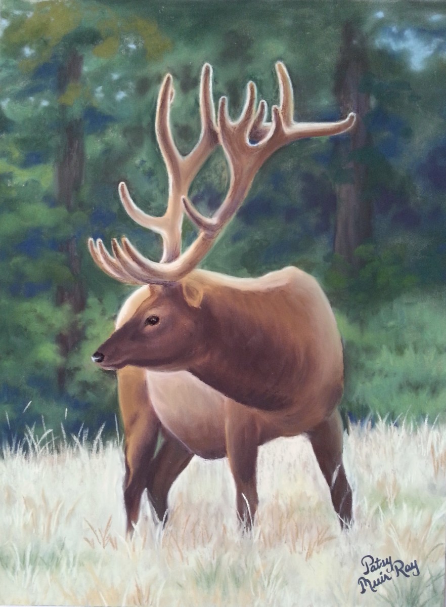 Sixteen Points by Patsy Ruth Kroeckel 