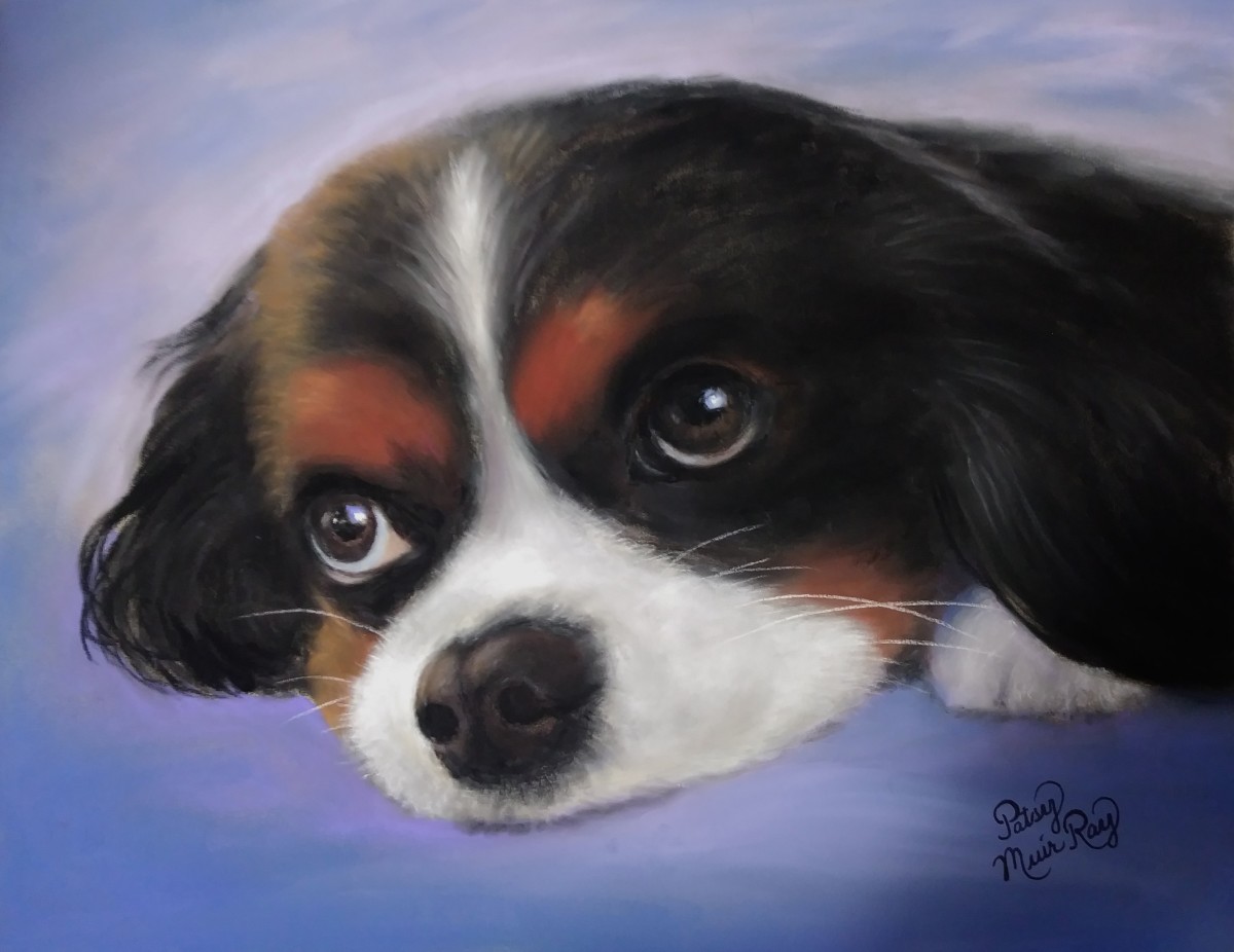 Soft and Sweet by Patsy Ruth Kroeckel 