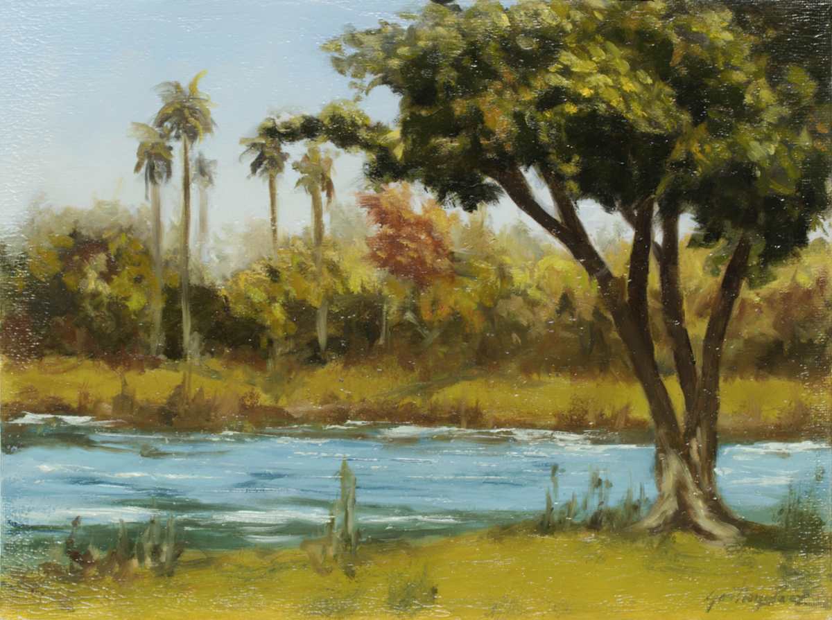 Tropical Winds by Santiago Perez 