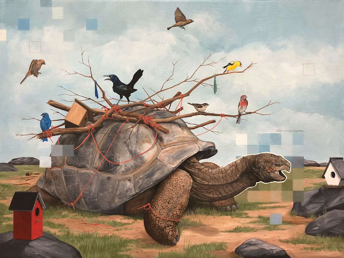 hypotheses by bryan holland arts, Image 1.