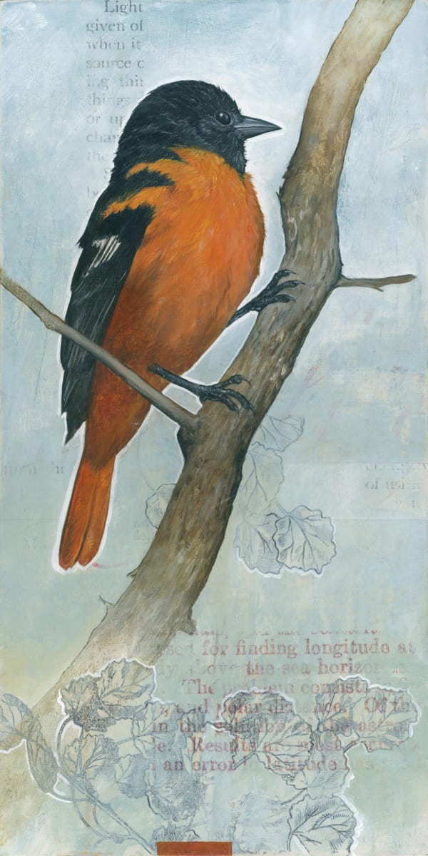 the light given by bryan holland arts, Image 1.