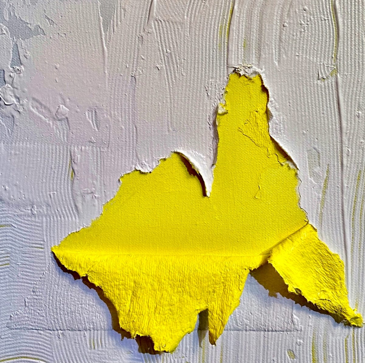 Yellow Rip, Image 1.