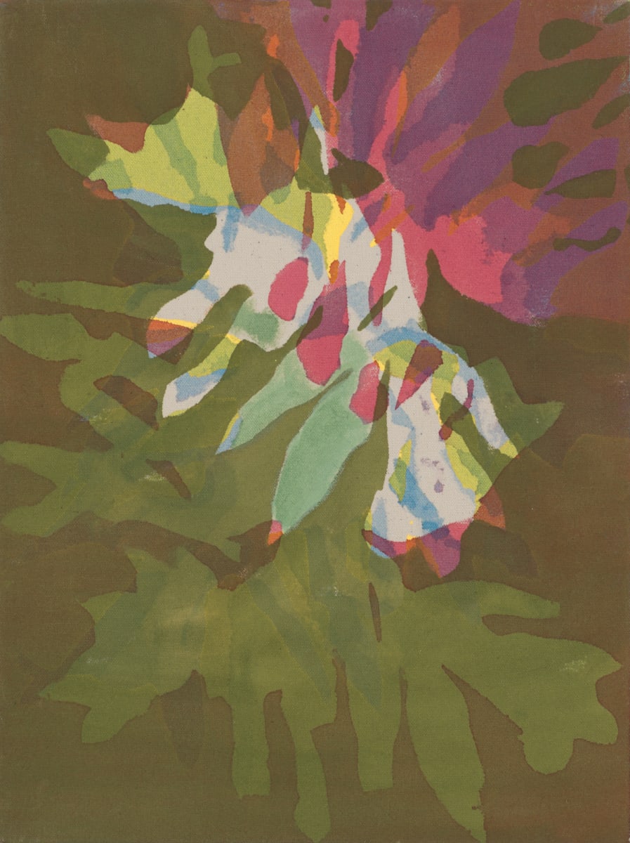 Green Study by Alison Judd 