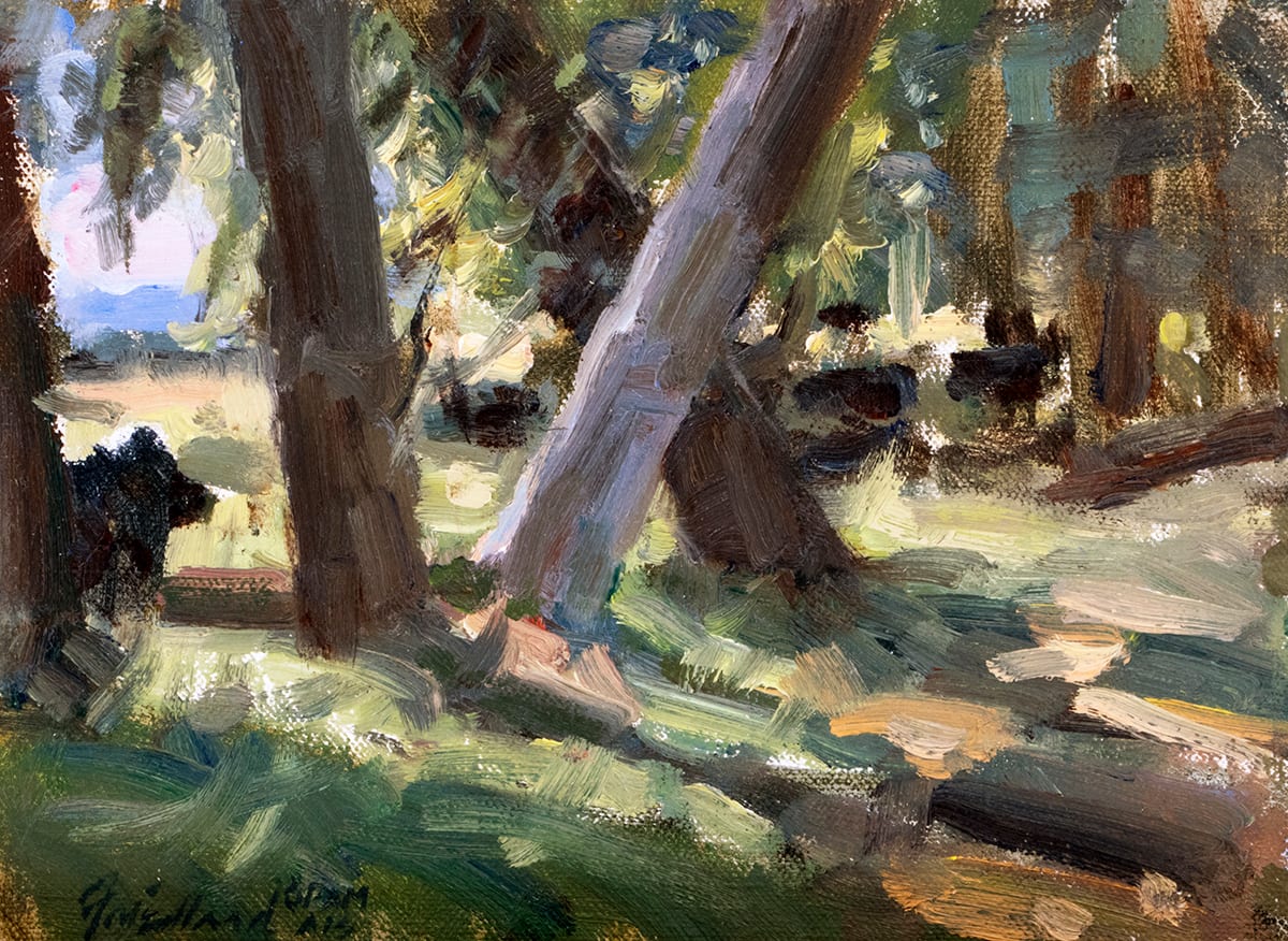 Cows in the Woods 
