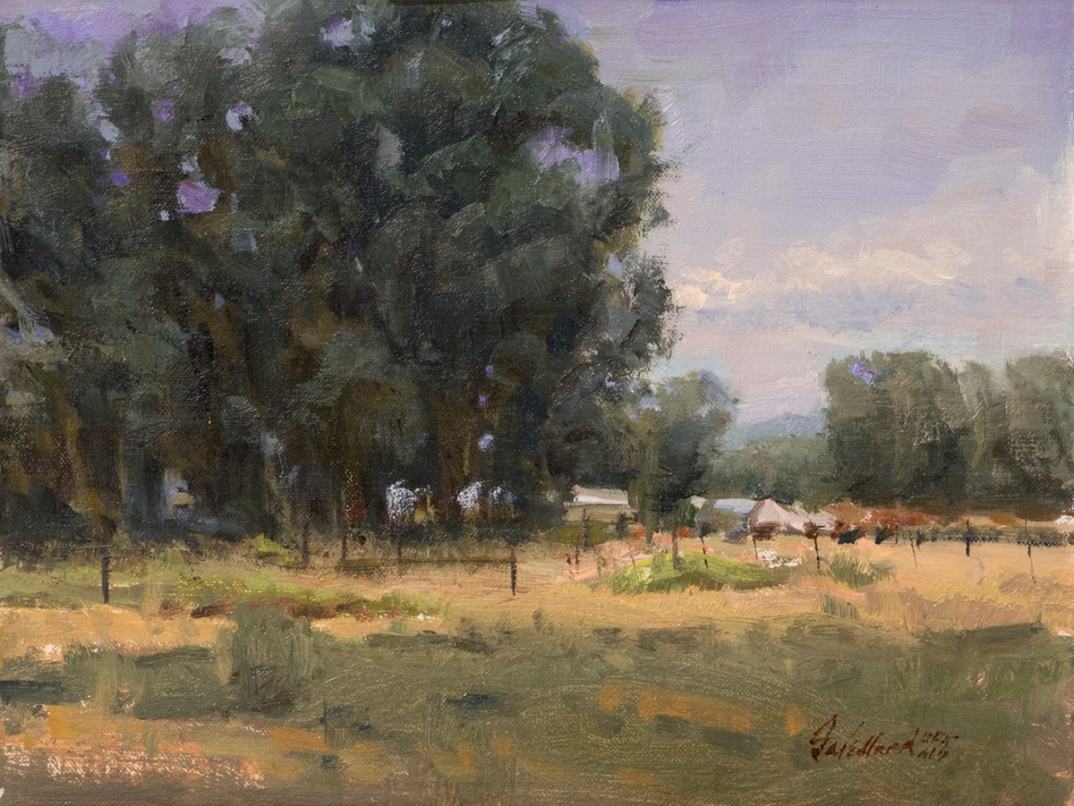 Montana Cottonwoods 